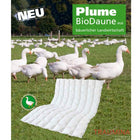 Couette Plume Bio, extra légère, Traumina